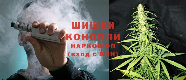 шишки Заводоуковск