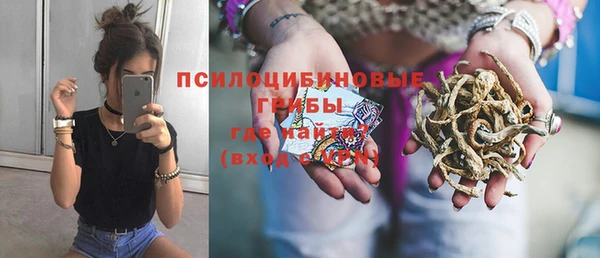 амф Зерноград