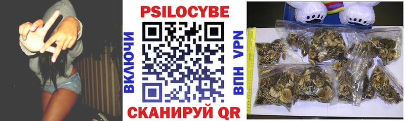 shop какой сайт  Салават  Галлюциногенные грибы Psilocybine cubensis 